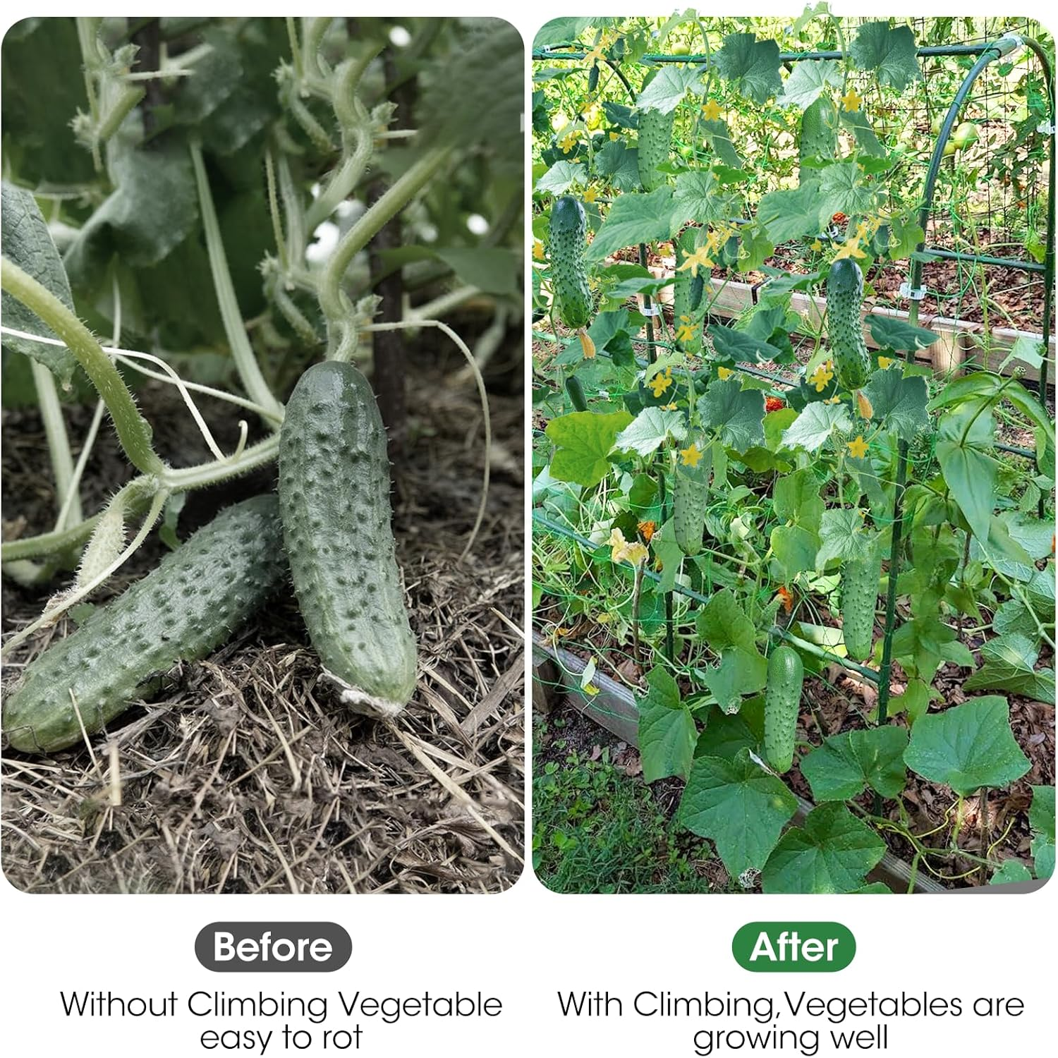 Plant Trellis，Cucumber Trellis for Raised Bed,U-Shape Garden Trellis for Climbing Plants Outdoor, Metal Arch Vegetables Trellis, Plant Support for Vine （Green,120Cm） image number 2