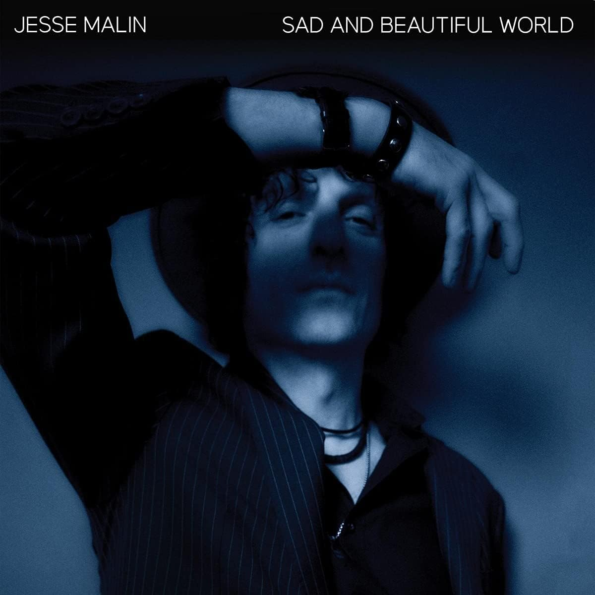 Sad & Beautiful World (2Cd) image number 1