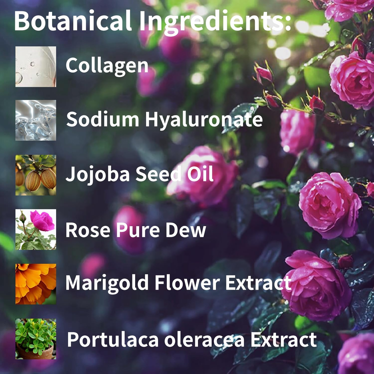 MISSEDSEN Rose Facial Cleanser & Rose Toner Set, Travel Size Skincare Kit | 100Ml Each | Hydrating, Soothing Perfect for Dry Skin