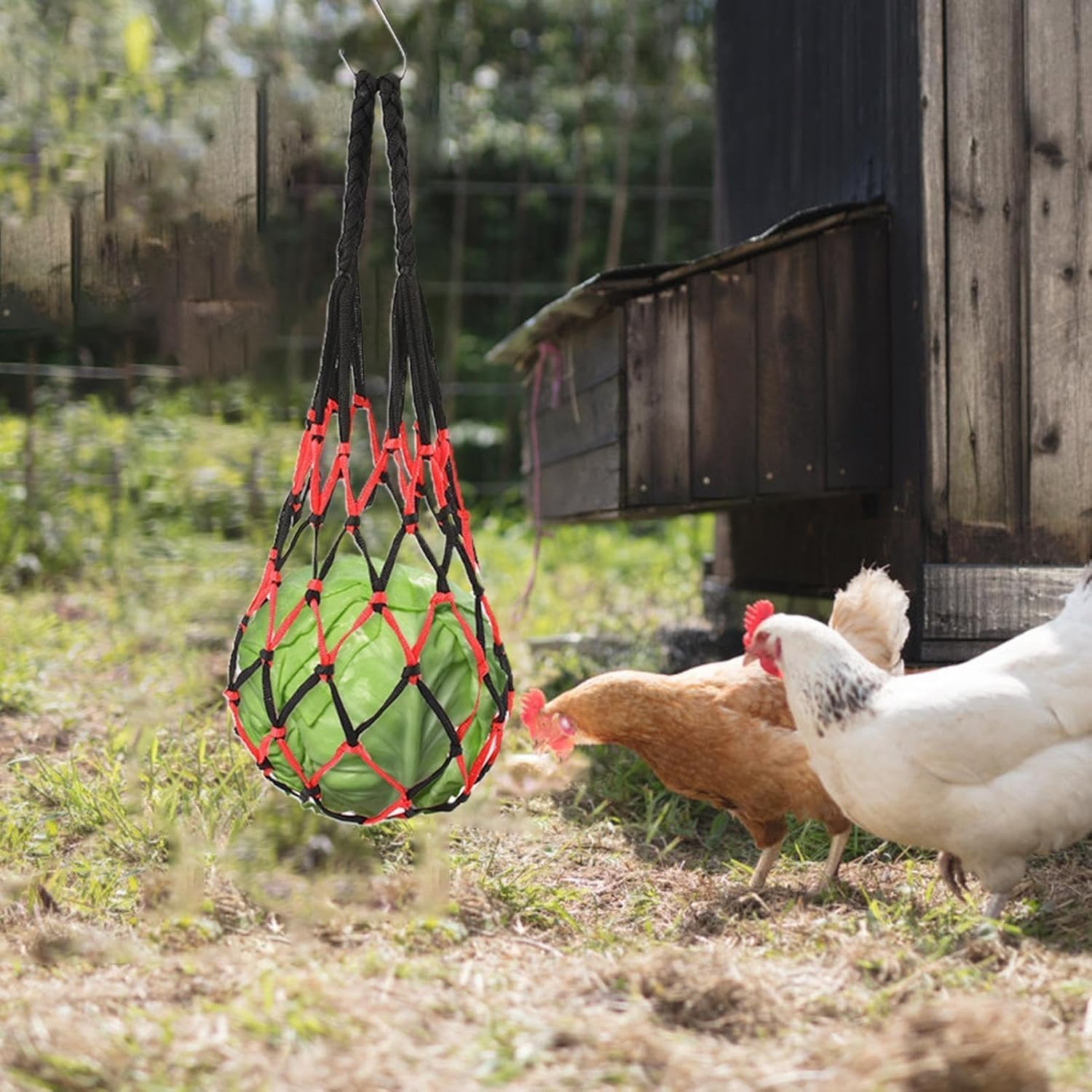 Hangable Chicken, Duck and Goose Feeding Net Bag, Parrot Feeder, Toys, Hanging Tool for Cabbage, Lettuce, Corn, Tomatoes (Green) image number 1