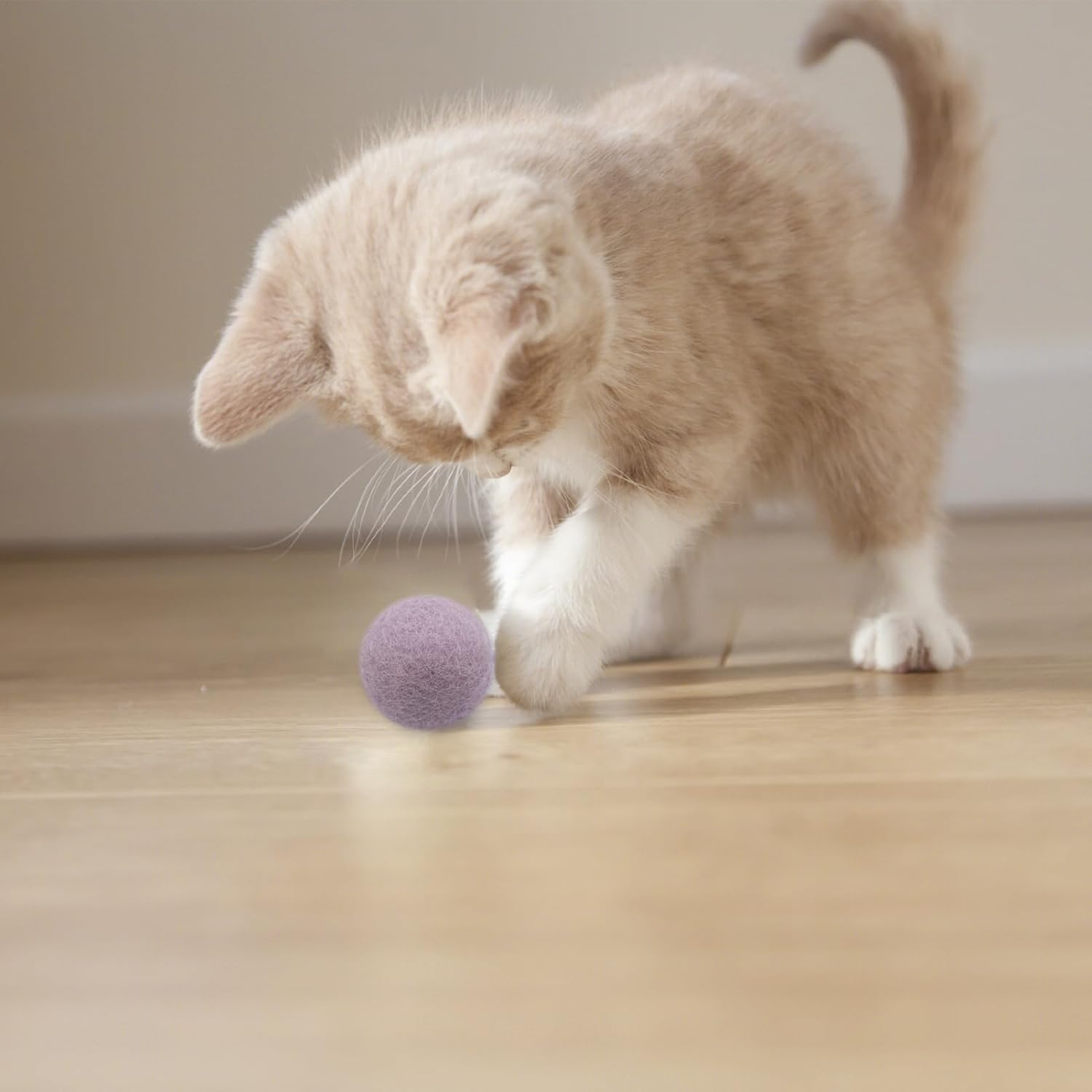 ZJCANGLIU 12 Pieces Cat Games, Cat Games, Cat Games, Interactive Cat Games, Interactive Cat Games, Felt Balls for Cats, Wool Felt Balls (6 Colours, 3 Cm) image number 2