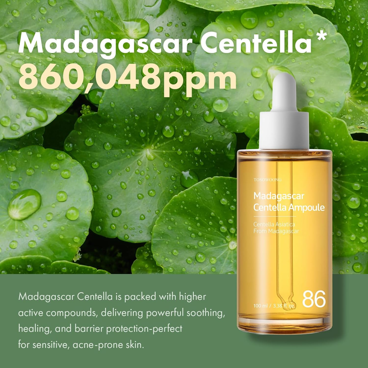 TOSOWOONG Madagascar Centella 86% Ampoule with 860,048Ppm Centella Asiatica, Soothing, Calming, Facial Serum for Face, for All Skin Types, Korean Skin Care, 100Ml, 3.38Fl.Oz. image number 2