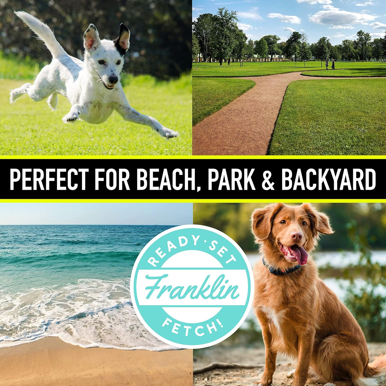 Franklin Pet Supply Dogs Flying Fetch Discs - 8.75" Inch Plastic Toy Discs for Fetch + Training - Discs for Small, Medium + Large Dogs - RSF Disc Launcher Compatible - 3 Pack, Yellow (90081Z) image number 2