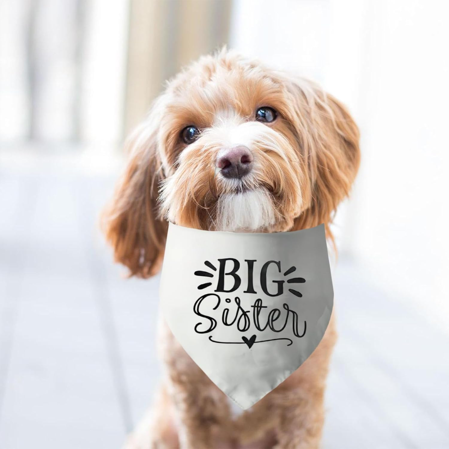 Bekecidi 2 PCS Dog Bandana, White Triangle Scarf Bandanas Pregnancy Announcement Bandana for Dogs Large Pet Scarf with Baby Security Big Sister Printed Pet Costume Accessories for Dogs Gifts image number 2