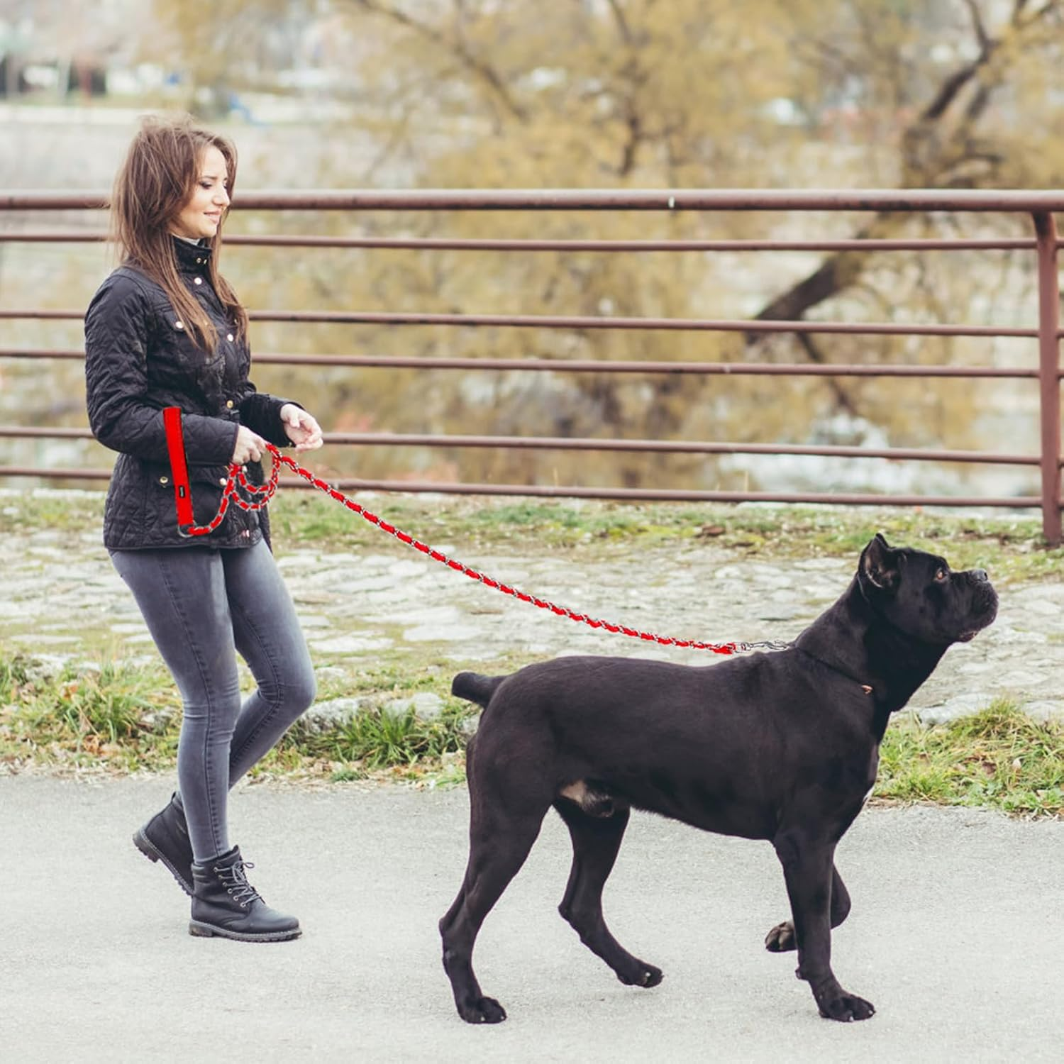 Homimp Chain Dog Leash - Reflective, Chew Proof Metal Leash for Large Dogs, 6 FT with Comfortable Soft Padded Handle, anti Bite Durable, Non Chewable (Red) image number 4