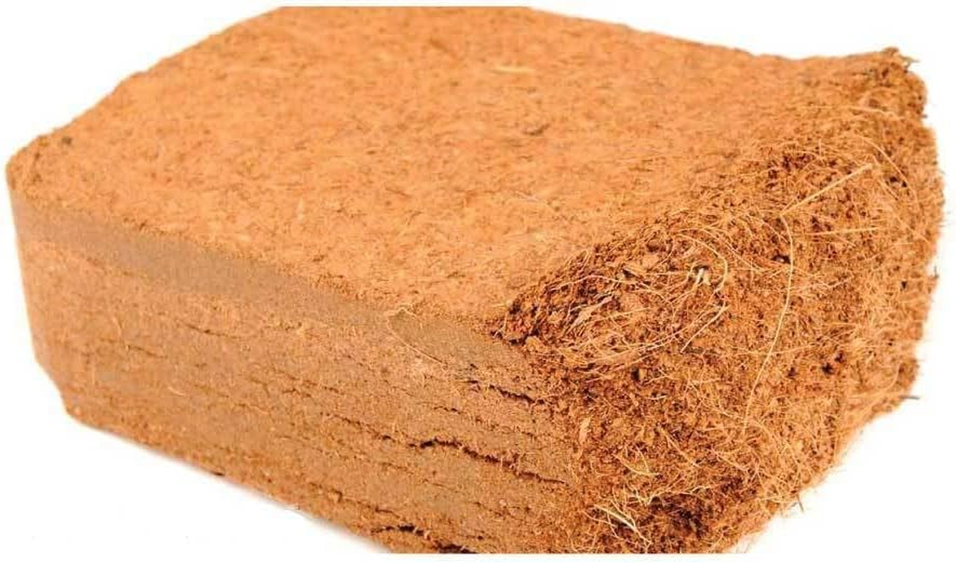 5X 650G Coco Brick Premium Coir Peat Organic Plant Growth Media Husk Nutrifield