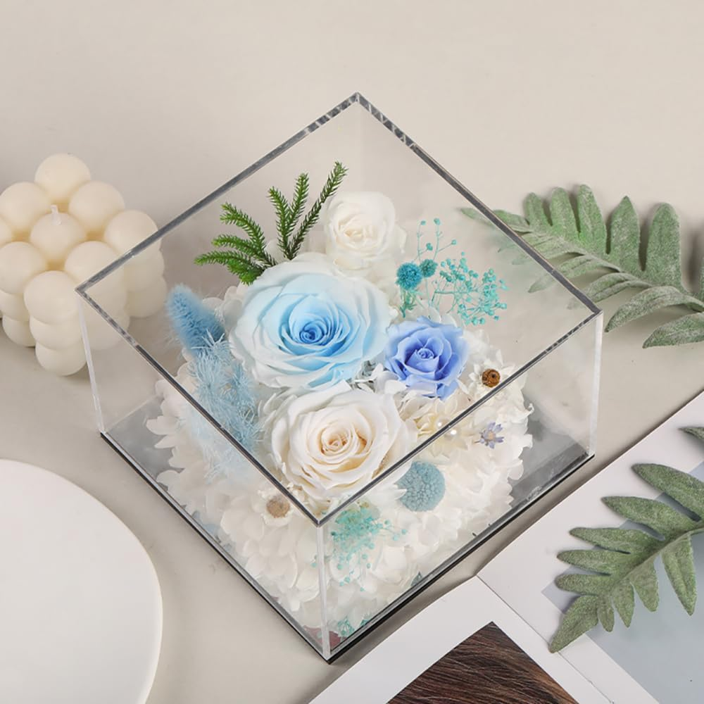 FIZOZI Eternal Rose Acrylic Cube - 15Cm Preserved Floral Women | Anniversary, Birthday, Valentine'S Day | 5 Colors (Red/Pink/Blue/Purple/Yellow) with Gift Box