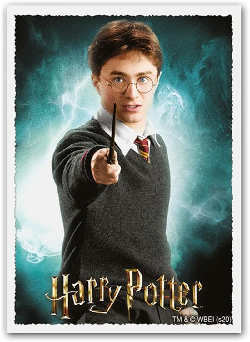 Arcane Tinmen Wizardingworld Harry Potter Matte Art Dragon Shield Sleeves 100 Piece)