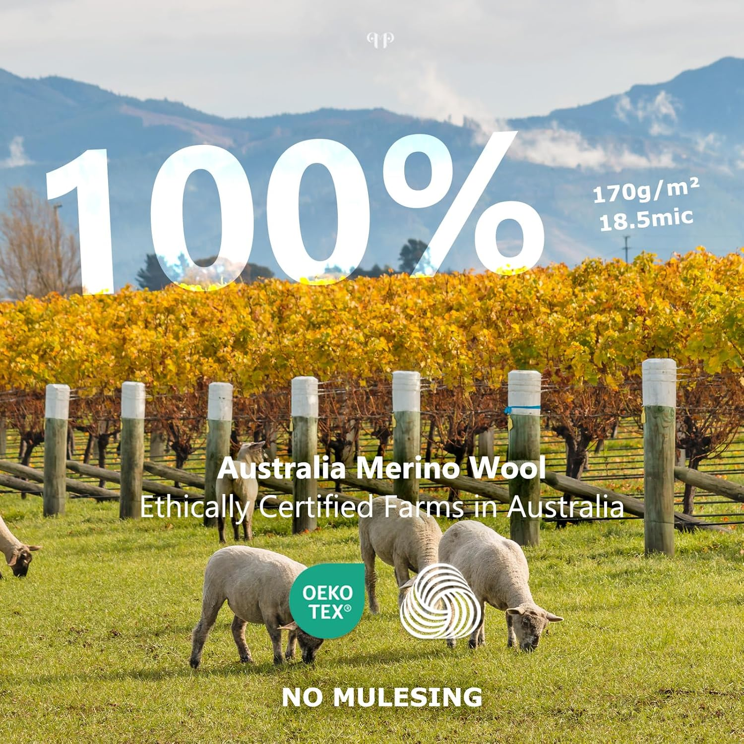 Merino Protect 100% Merino Base Layer Women Thermals Underwear Lightweight Soft Long Sleeve Shirt for Hiking Skiing image number 2