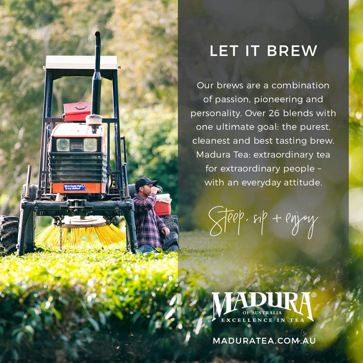 Madura Premium Blend 50 Teabags image number 6