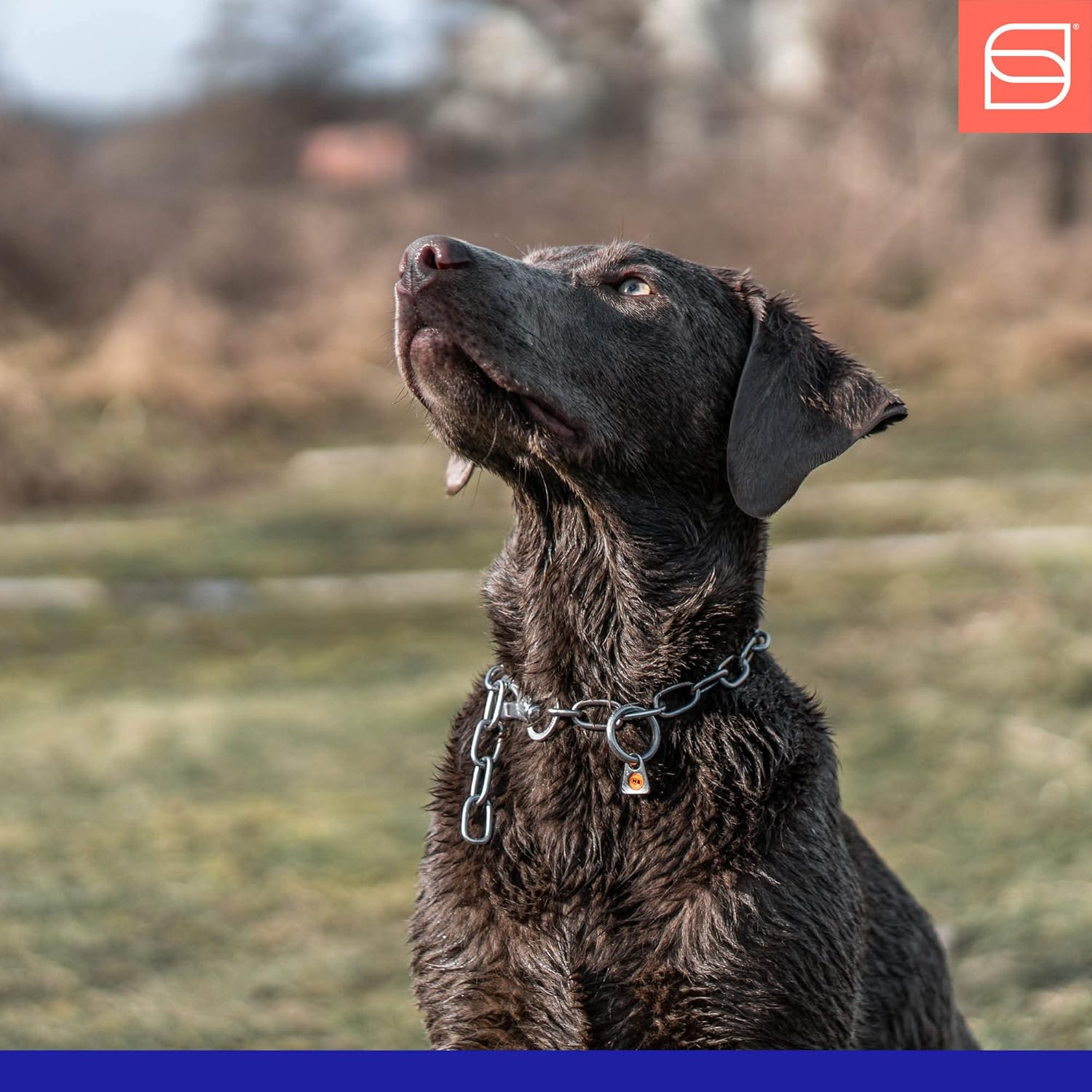 Sprenger Chain Collar Medium with 1 Ring and 1 Snap Hook Stainless Steel 3 Mm for Dogs up to 55 Kg (60 Cm) image number 3