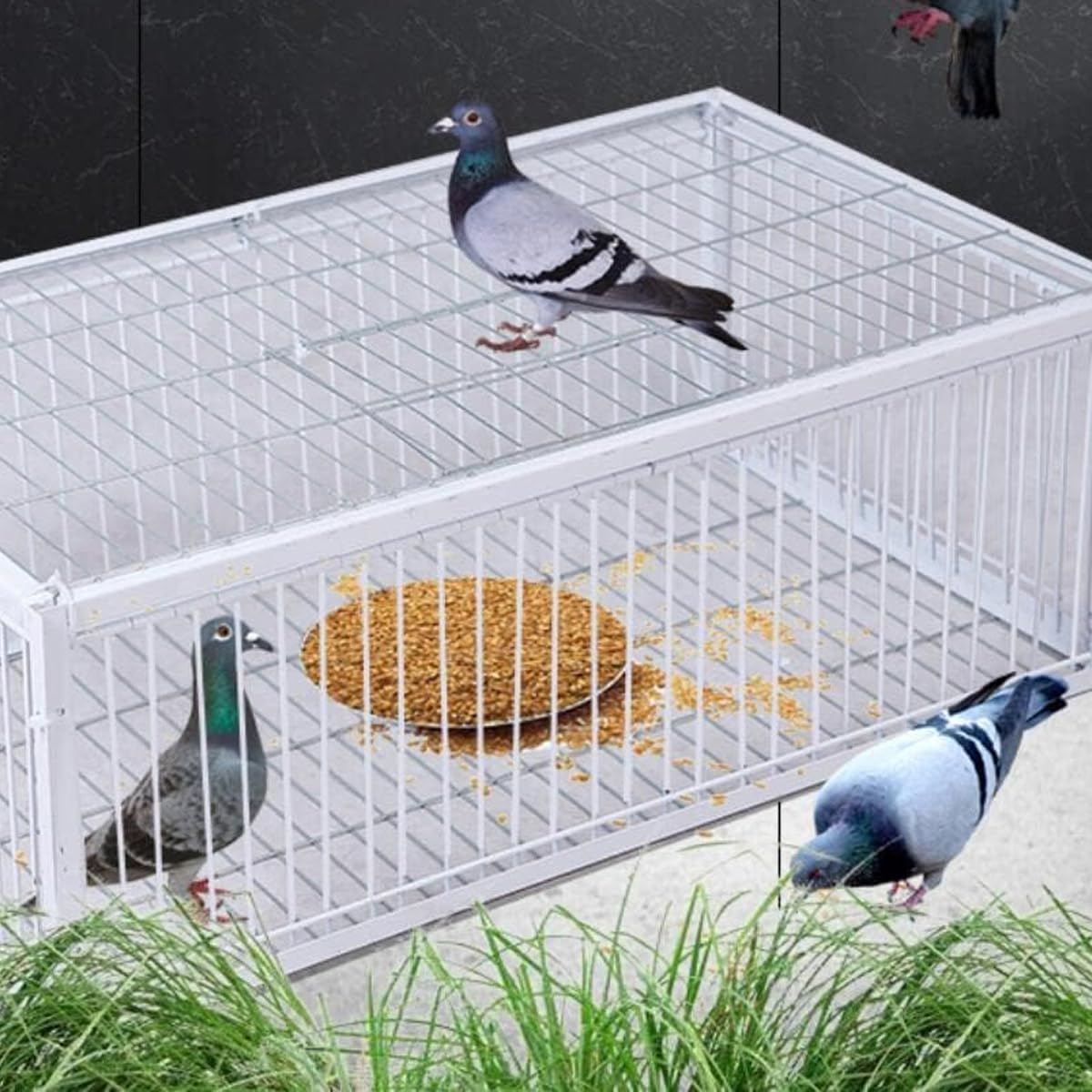 AIMALL 40X26X60Cm (15.7X10.2X23.6Inch) Thickened Pigeon Cage, Encrypted Spacing Design with Skylight & Top Door, Automatic Pigeon Collection for Outdoor Use, Backyard & Garden image number 6