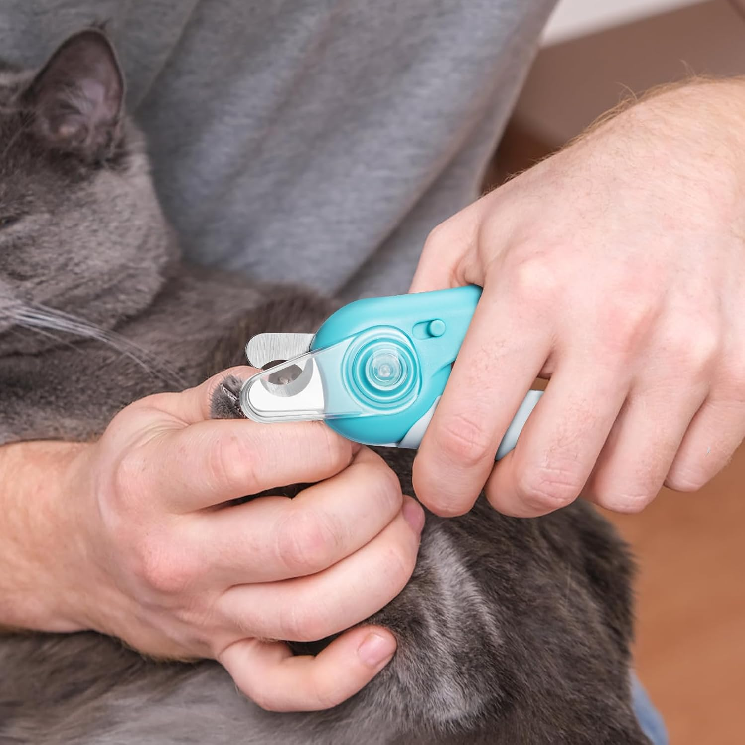 Koalakraft Dog Nail Grinder and Clippers Set &ndash; Rechargeable, Low Noise Electric Pet Nail Grinder for Dogs & Cats, LED Display, 4 Adjustable Speeds, Grooming Kit with Dog Nail Trimmer & File image number 3