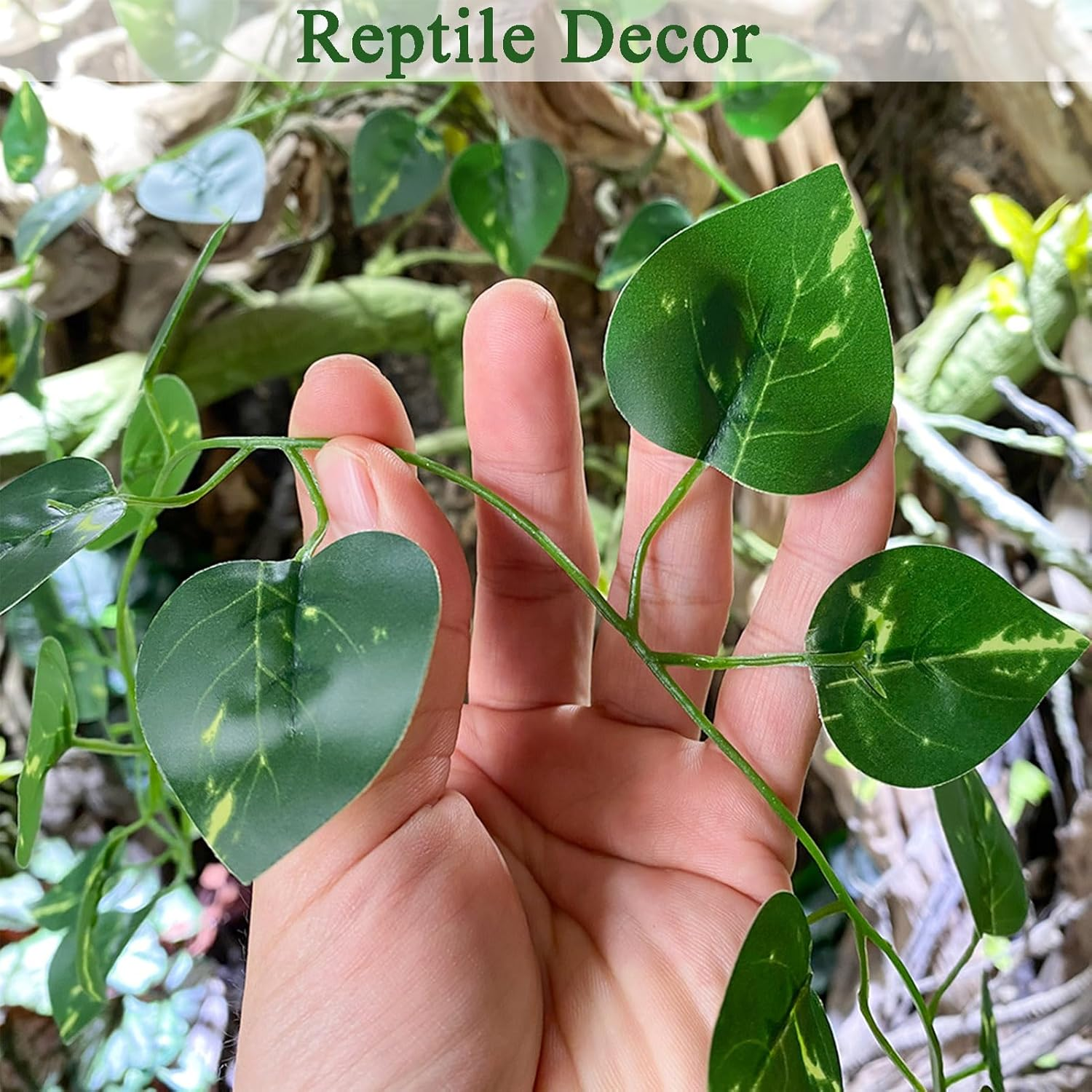 8Pcs Bearded Dragon Tank Accessories,Crested Gecko Tank Accessories,Bearded Dragon Hammock,Gecko Tank Accessories,For Snakes,Chameleon,Bearded Dragon image number 1