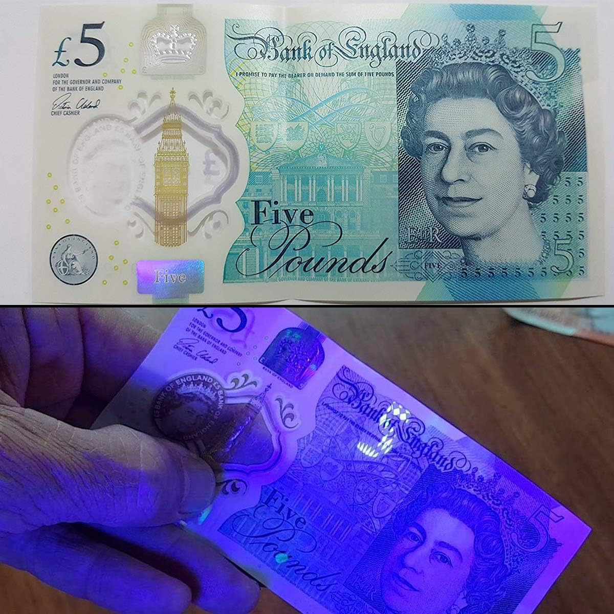 Lepro UV Torch, 51 LED UV Light Torch, 395Nm Ultraviolet Flashlight, Blacklight Detector for Pet Urine, Stain, Bed Bugs, Banknote and More image number 3