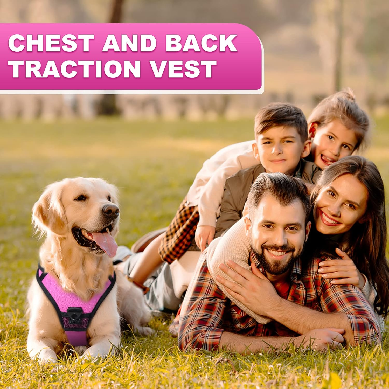 2 in 1 No Pull Dog Harness with Retractable Leash, No Pull Dog Harness & Retractable Dog Leash【Auto-Lock Function】Adjustable Breathable Dog Vest with Control Handle for Medium Dogs(L) image number 1