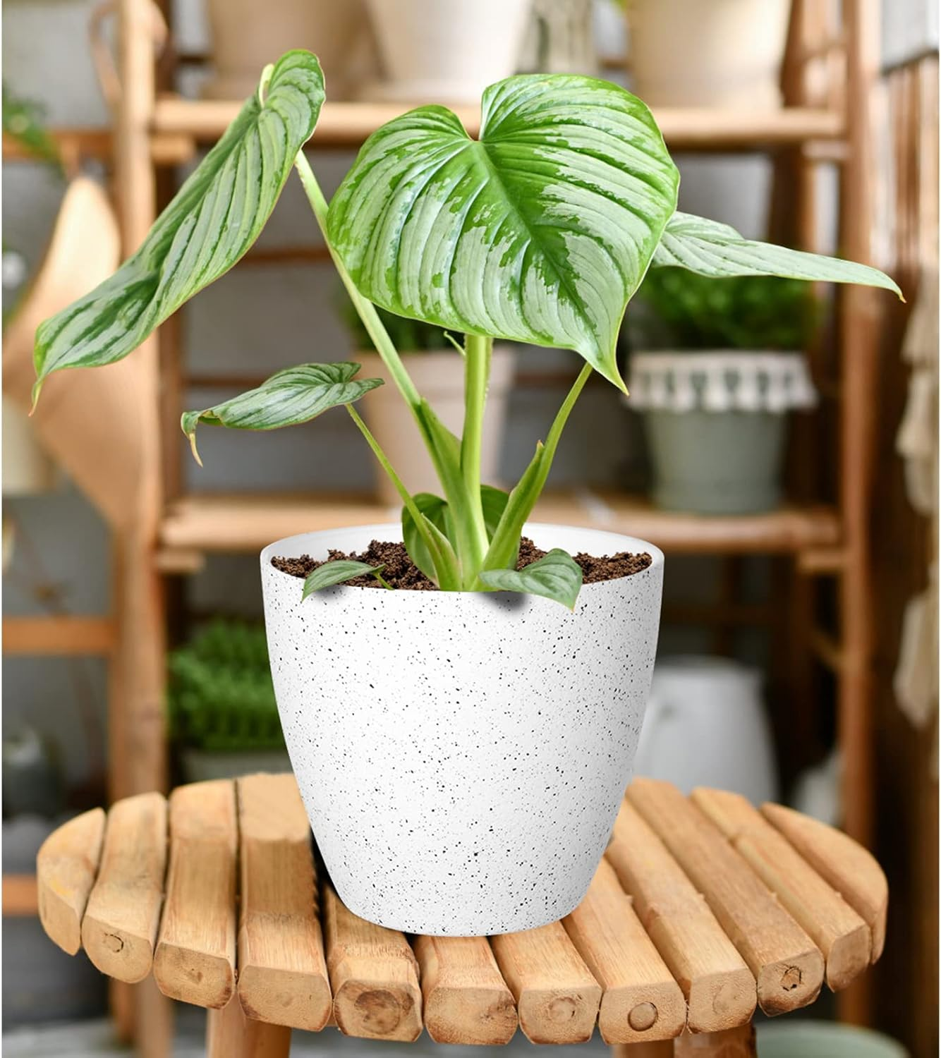 Vanavazon Flower Pots 9/8/7 Inch Set of 3 Flower Pots Indoor Outdoor Modern Decorative Planters with Drainage Hole and Tray (White) image number 2