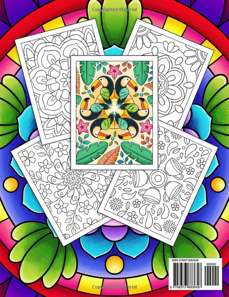 Mindful Patterns Large Print Adult Coloring Book for Women: an Adult Coloring Book with Beautiful Designs of Flowers and Botanical Mandala Patterns for Stress Relief, Relaxation, and Creativity