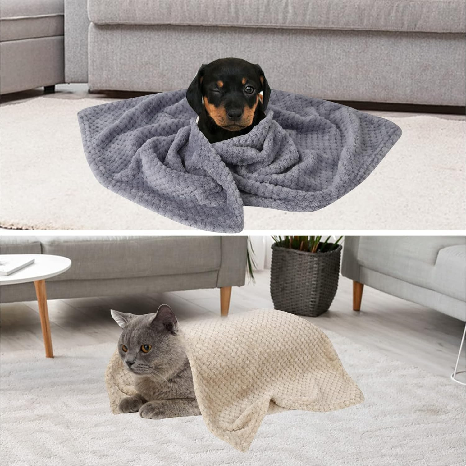 Fluffy Dog Blanket 3 Pcs Flannel 45X65Cm Washable Cat Soft and Warm Pet Blankets for Rabbits Dogs Small, Sofa, Car, Travel, Keep Pets (Khaki, White, Grey) image number 6