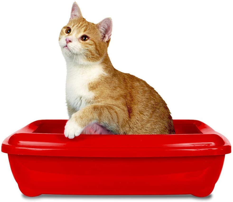 Simple Solution Pro-Bacteria Cat Litter Deodoriser Spray 500Ml - 40 Tray Treatments, Odour Eliminator image number 5