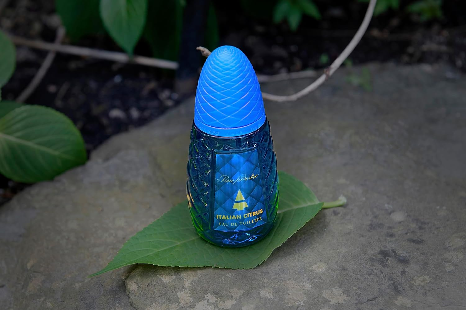 Italian Citrus by Pino Silvestre - Perfume for Men - Woody, Aromatic Scent - Blended with Lemon, Pine, Apple, Patchouli, and Musk - for Calm, Collective Gentlemen - 4.2 Oz EDT Spray image number 1