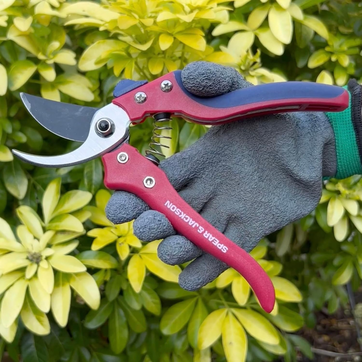 Spear & Jackson 7159BS Razorsharp Advantage Bypass Secateurs, Multicoloured image number 5