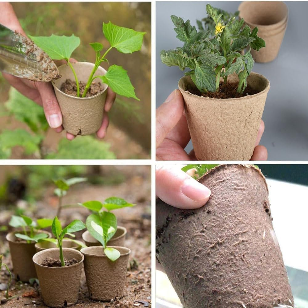 80 Pack Biodegradable Paper Pulp Seedling Pots Small Nursery Cups,Biodegradable Seed Starter Pots,Cells Paper Pulp Germination Trays Kit image number 2