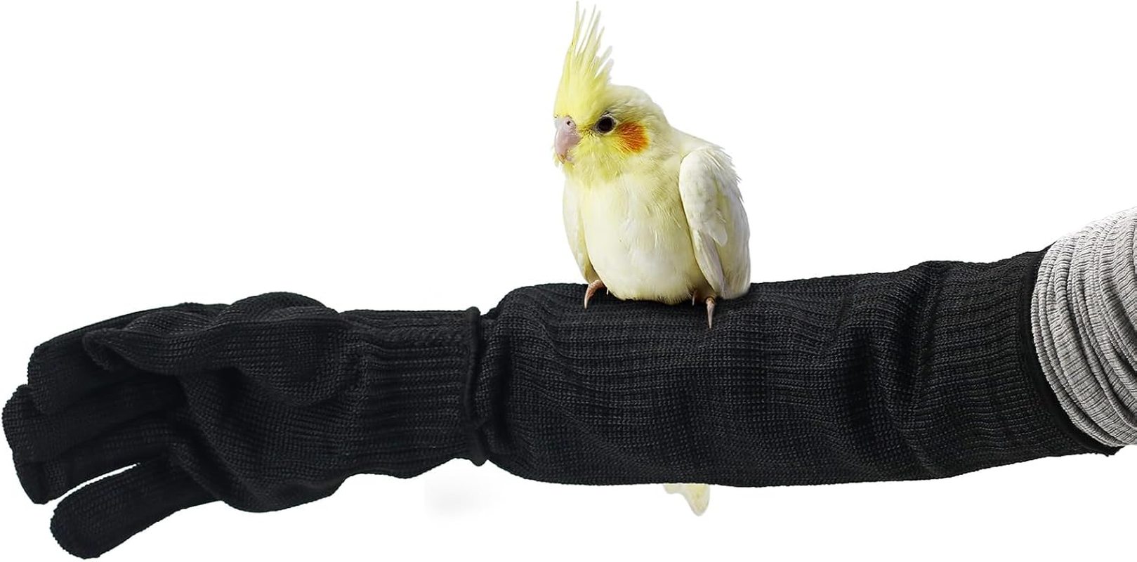 Bird Training Anti-Bite Gloves, Level 5 Protection, Parrot Chewing Working Safety Protective Gloves for Small Animal Pet Squirrels Hamster Parrotlets Cockatiels Finch Macaw (Gloves + Arm Sleeves)
