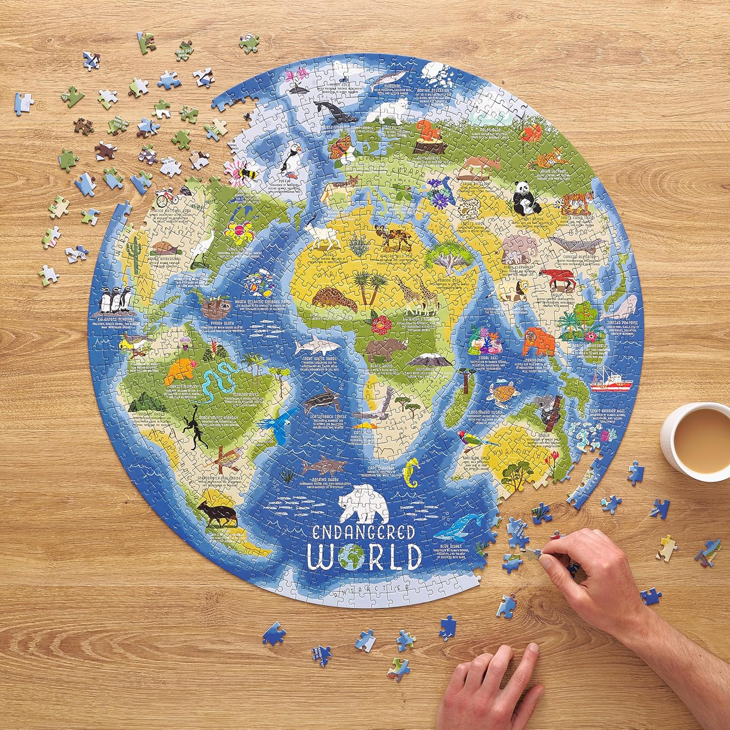 Ridley'S Endangered World Jigsaw Puzzle (1000 Pieces) image number 3