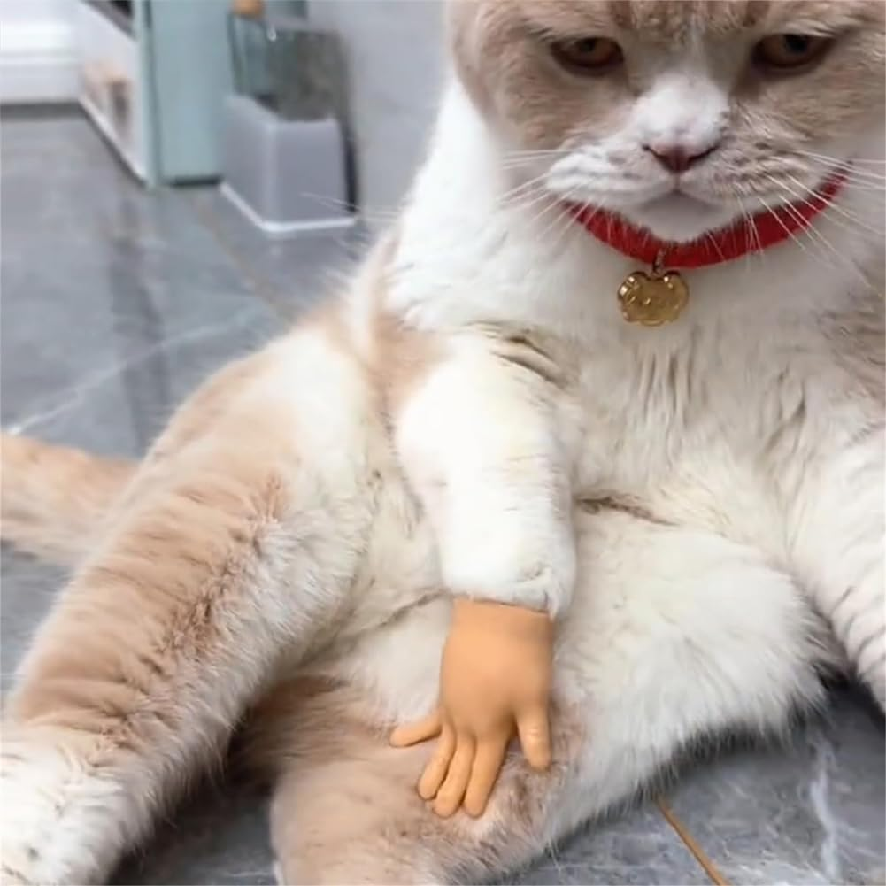 Coehaopike 6PCS Tiny Hands for Cats, Funny Little Hands for Cats, Rubber Finger Puppets for Cat Paws, Little Hands for Fingers, Stretchable Mini Hands for Cats, Cat Interactive Toy image number 1