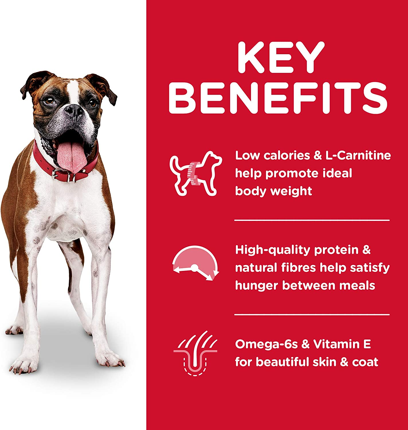 Hill'S Science Diet 12Kg Canine Adult Dog Light Dry Food image number 6