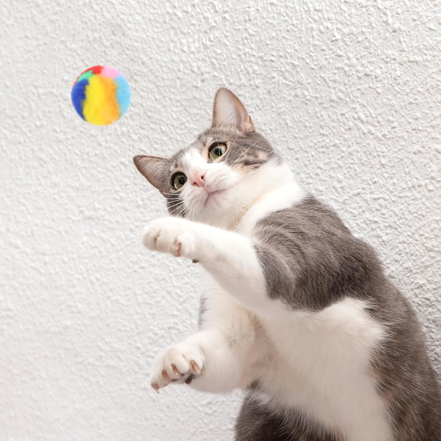 Mozeat Lens Cat Toy Balls, Pack of 20 4 Cm Colourful Cat Pom Pom Ball Toy Soft Cat Ball Interactive Training Play Ball Training Ball for Cats Kittens Pets Indoor image number 1