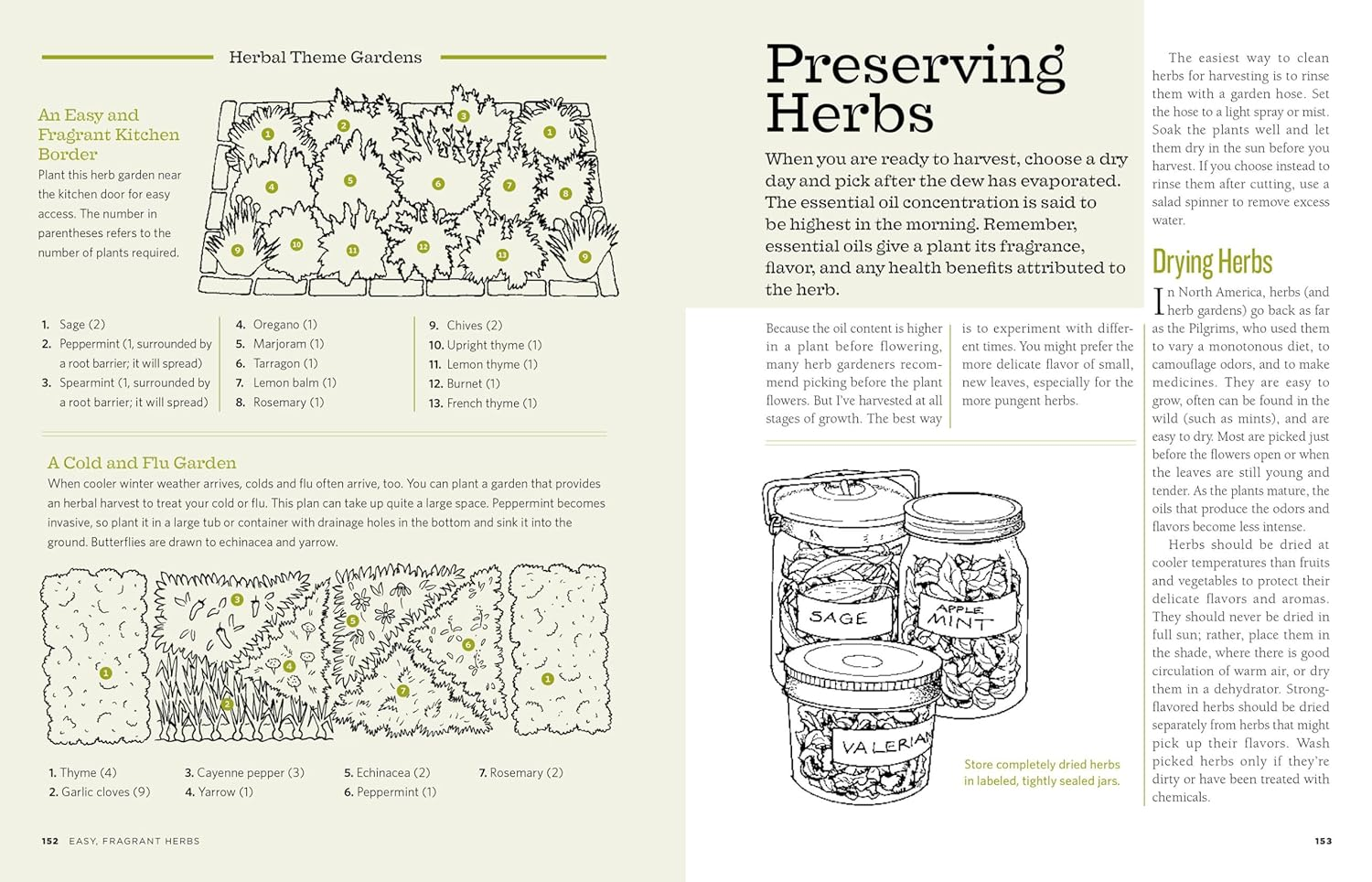 The Backyard Homestead: Produce All the Food You Need on Just a Quarter Acre! image number 3