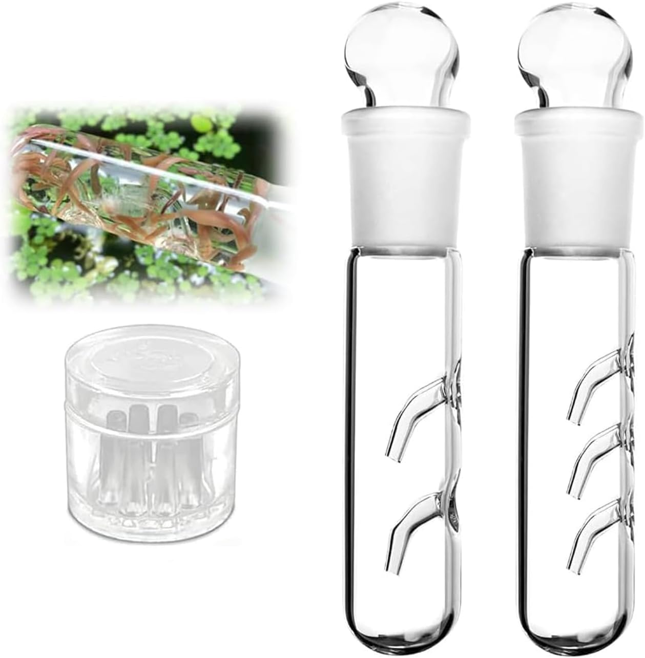 WEZCHUGHAOL Planaria Trap for Aquarium - 3Pcs Glass Leech & Bristle Worm Catcher, Shrimp Tank Cleaner with Dual Entrance Design, Safe Flatworm/Planaria Remover for Freshwater Fish Tank Accessories image number 5