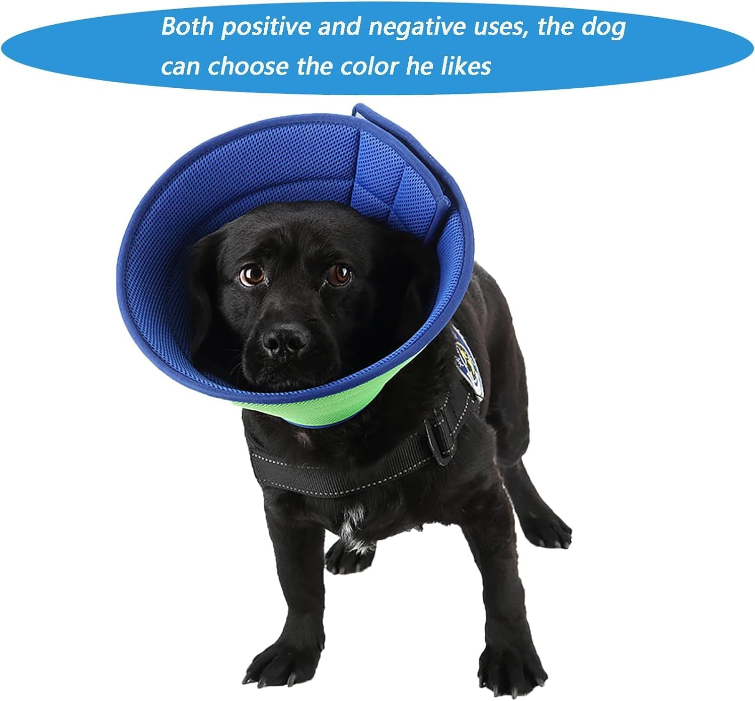 Dog Cone,Soft Dog Cone after Surgery,Adjustable Breathable Dog Cone Collar,Soft Dog Cones for Large Medium Small Dog,Protect Pets from Licking Wounds,Soft and Comfortable, Reduce Anxiety (BLUE, S) image number 4