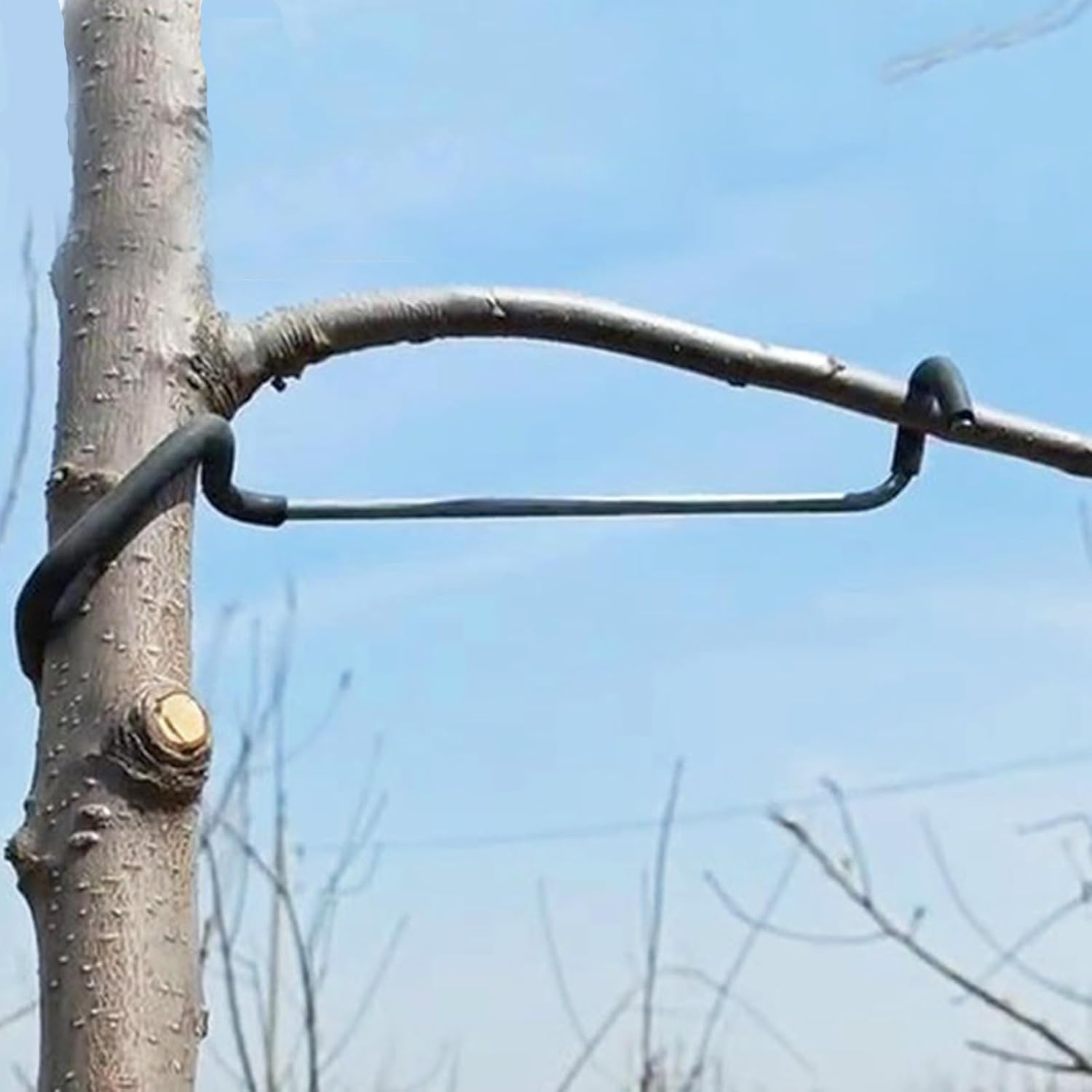 Limb Spreaders Fruit Trees Branch Spreaders Tree Branch Support Tree Limb Spreader Limb Spreader Tree Brace Tree Branch Hook 5Pcs image number 1