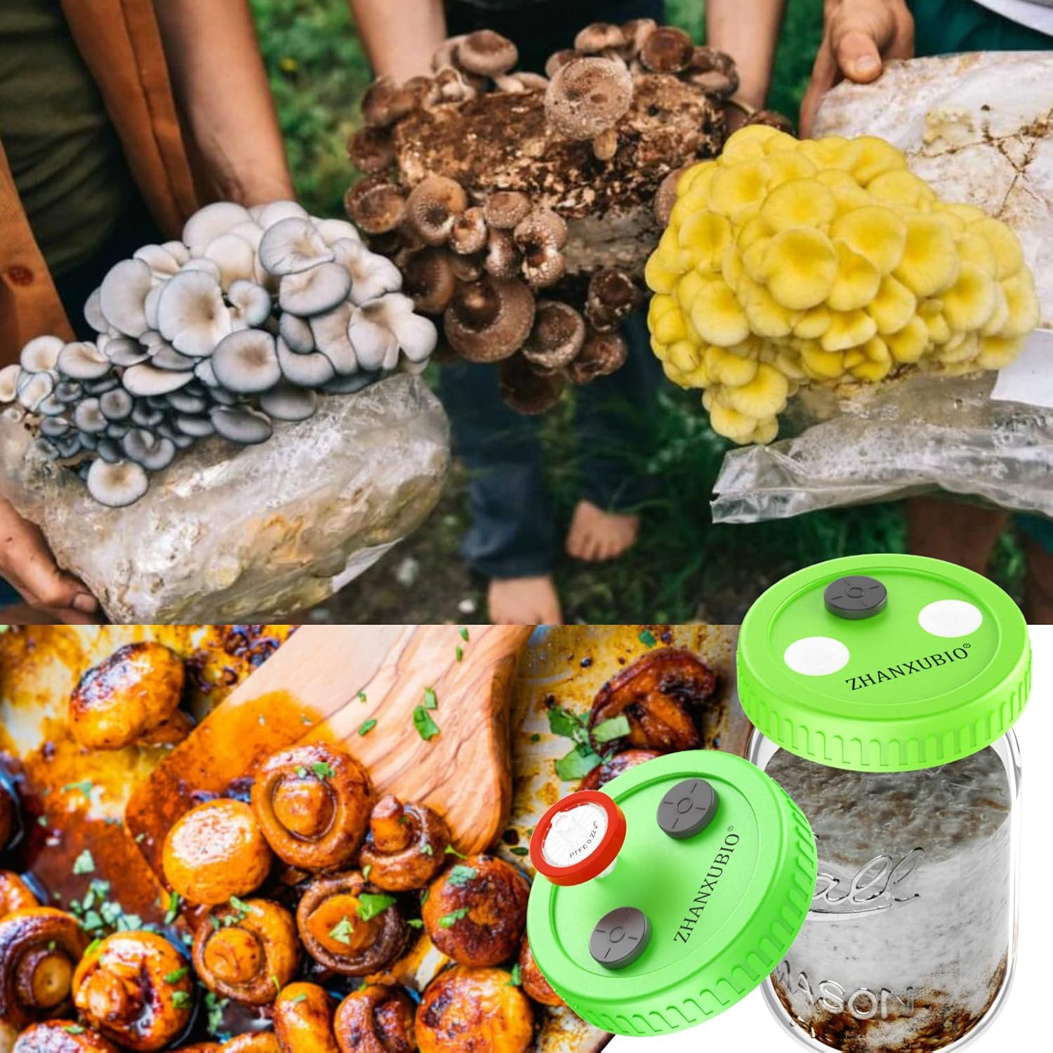 ZHANXUBIO Mushroom Jar Lid, Wide Mouth, Reusable, Green, Polypropylene, 12 Pack image number 3