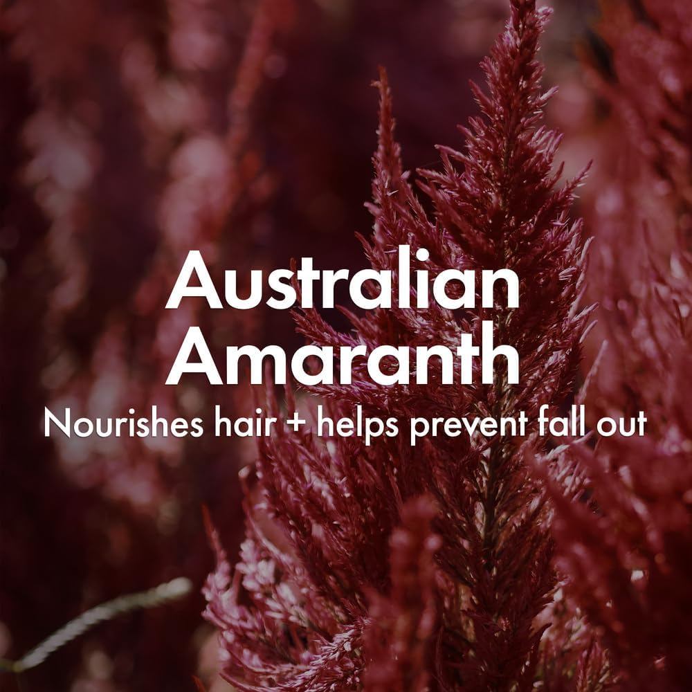 Bondi Boost Thickening Therapy Shampoo 500Ml image number 3