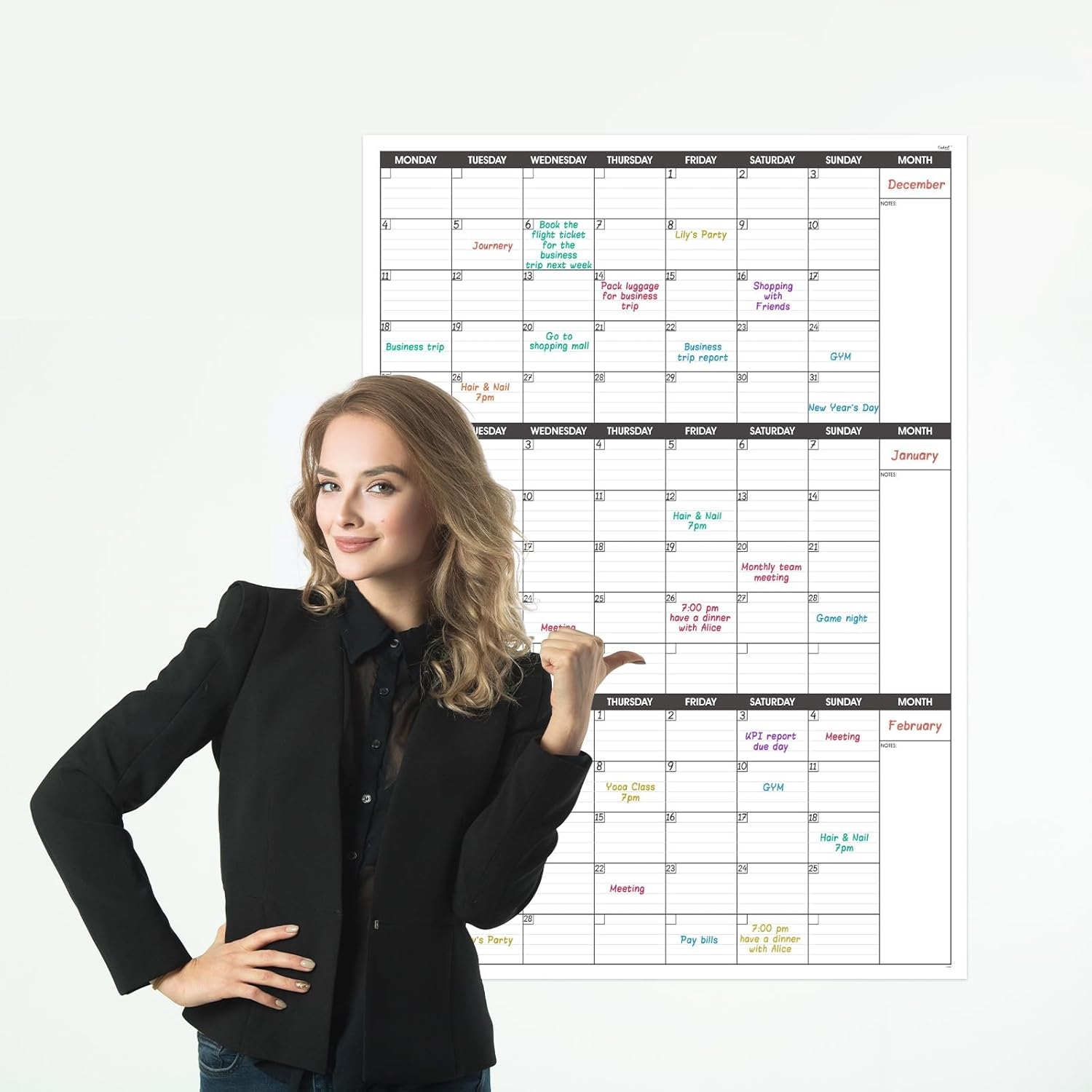 Colorage Large Wall Calendar Undated - Three Monthly Dry Erase Reusable Planner, Giant Laminated Poster, Goal & Task Organizer for Your Home, Office, School Includes 4 Sticker Dots, 101 Cmx73 Cm