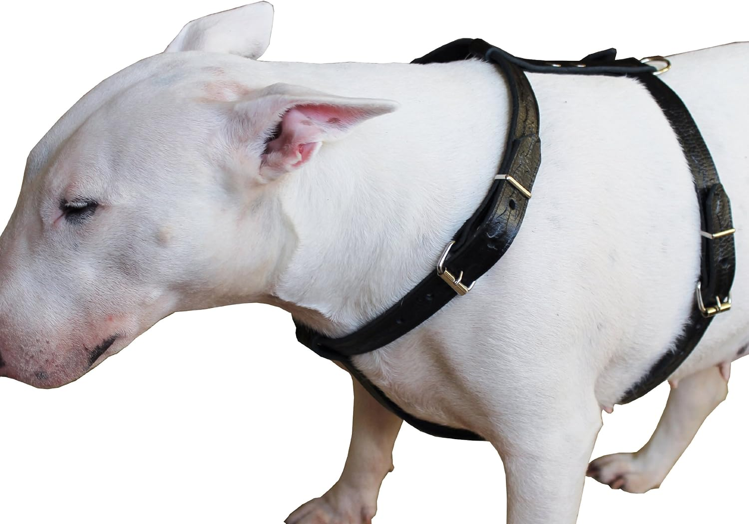 Genuine Tooled Leather Dog Harness Medium. 22-30 Chest 3/4 Wide Straps