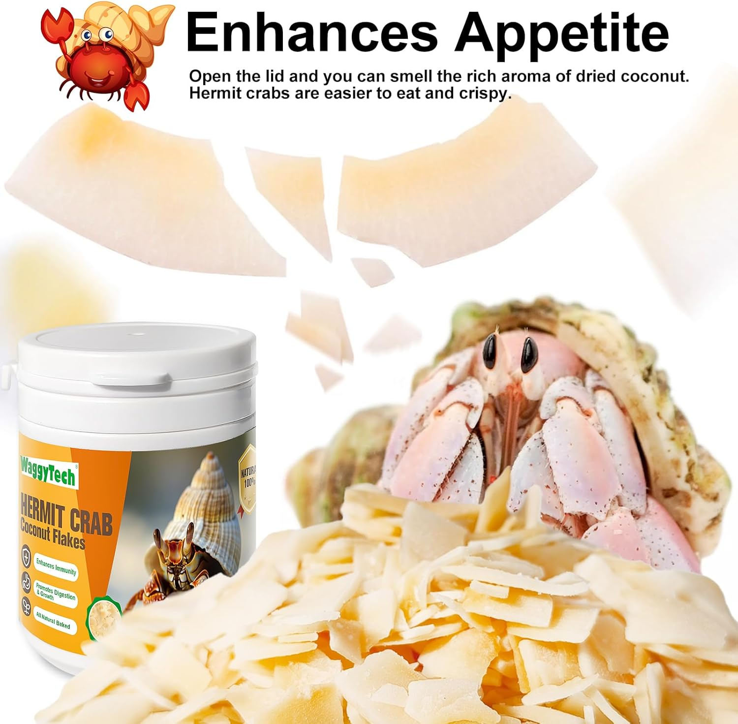 Hermit Crab Food - Baked Coconut Treat, Natural Dried Coconut for Crab Healthy & Additive Free, Easily Digestible Hermit Food Hermit - Ideal Crab Pet Snacks, Crispy & Delicious | 60G (Large)