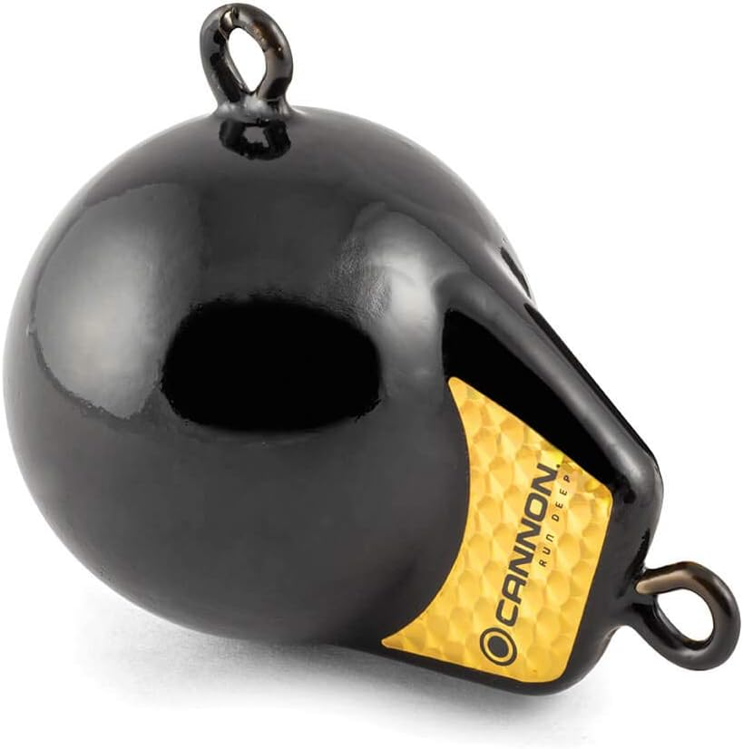 Cannon 2295180 Flash Weight, 6-Pound, Black with Gold Prism image number 4