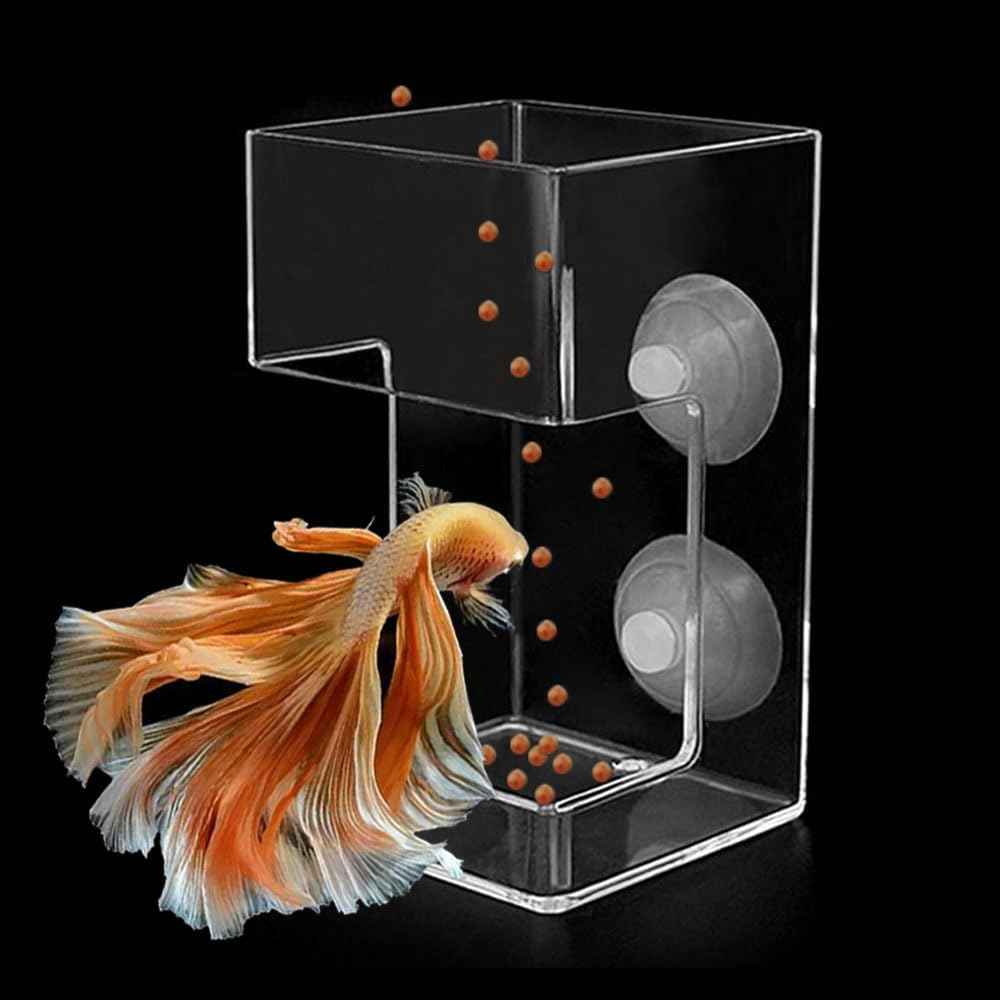 FLOURITHING Multi-Function Fish Feeder Ring Set Aquarium Fish Tank Live Red Worm Food Feeder Plant Cone Cup Feed Thaw Measuring Cup Shape Basket for Feeding Feeding Fish Aquatic Pet for Betta