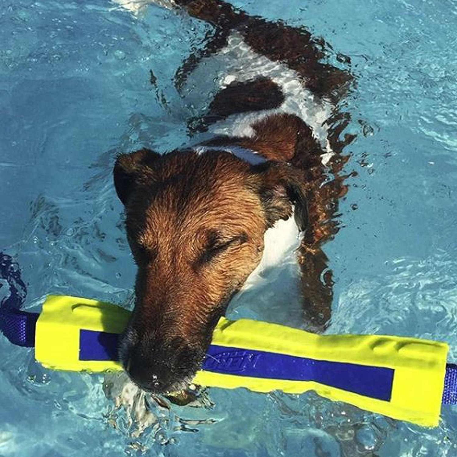 Nerf Dog 12In Tpr/Foam Megaton Competition Stick - Blue/Green