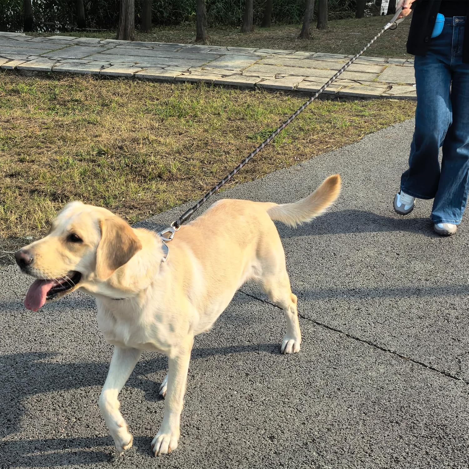 ZALER Rope Dog Leash, 4/5/6/10/15/20/30/50 Foot Reflective Dog Leashes with Carabiner, Heavy Duty Pet Lead for Large and Medium Dogs (4FT, Black) image number 3