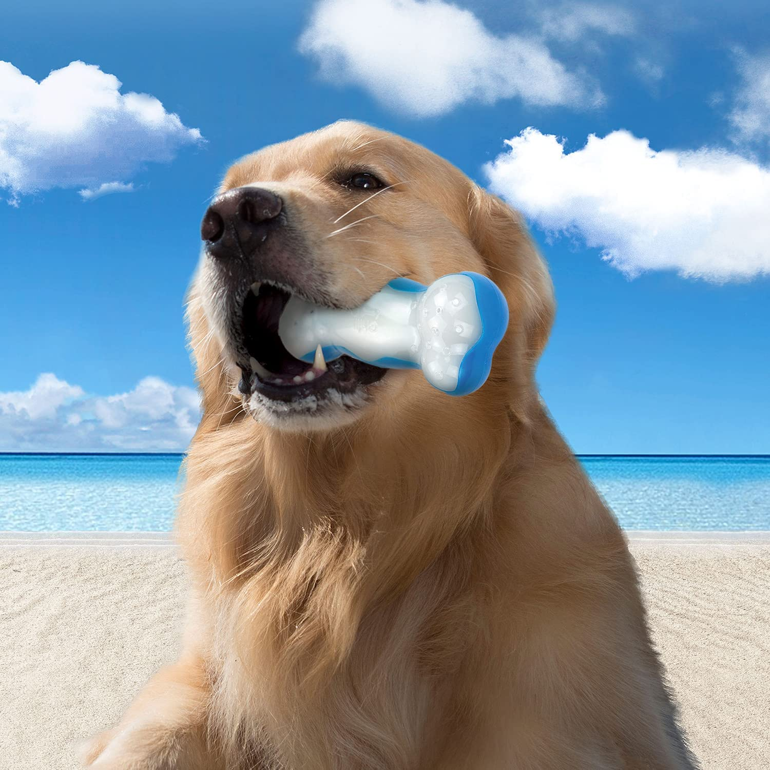 All for Paws Chill Out Ice Bone Dog Chew Toy image number 6