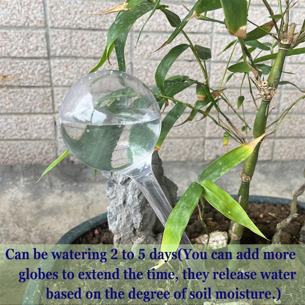 Clear Plastic Self-Watering Globes Plant Watering Bulbs, 10Pcs Plant Watering Bulbs Self-Watering Globes,Garden Water Device Watering Bulbs,Plant Watering Bulbs Automatic Self-Watering Globes image number 4
