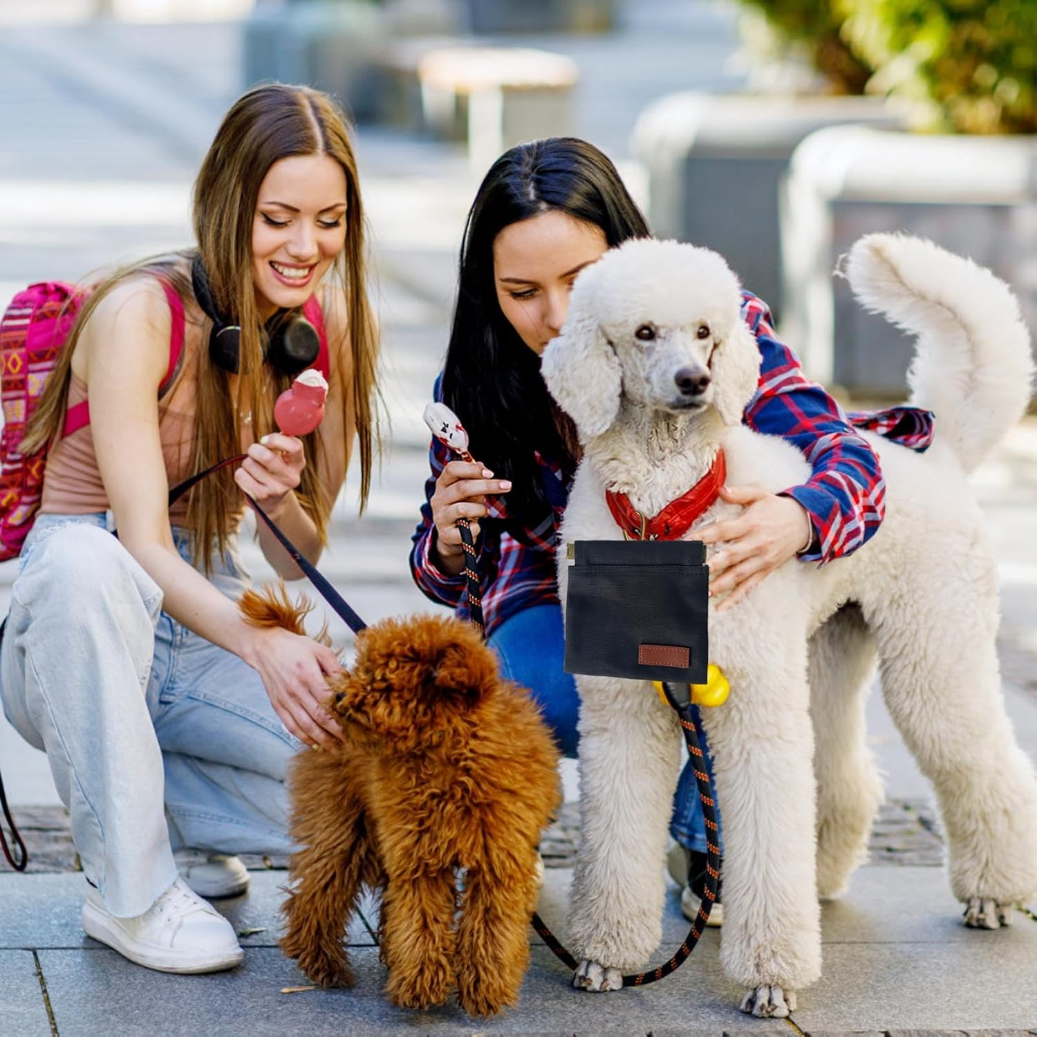 Dog Treat Pouch - 2PCS Hand Free Dog Walking Bag with Auto Closing Pet Feed Snack Reward Pocket | Pet Training Pouch for Puppy Obedience, Leak-Proof Design | Walking, Travel & Training Accessories image number 6