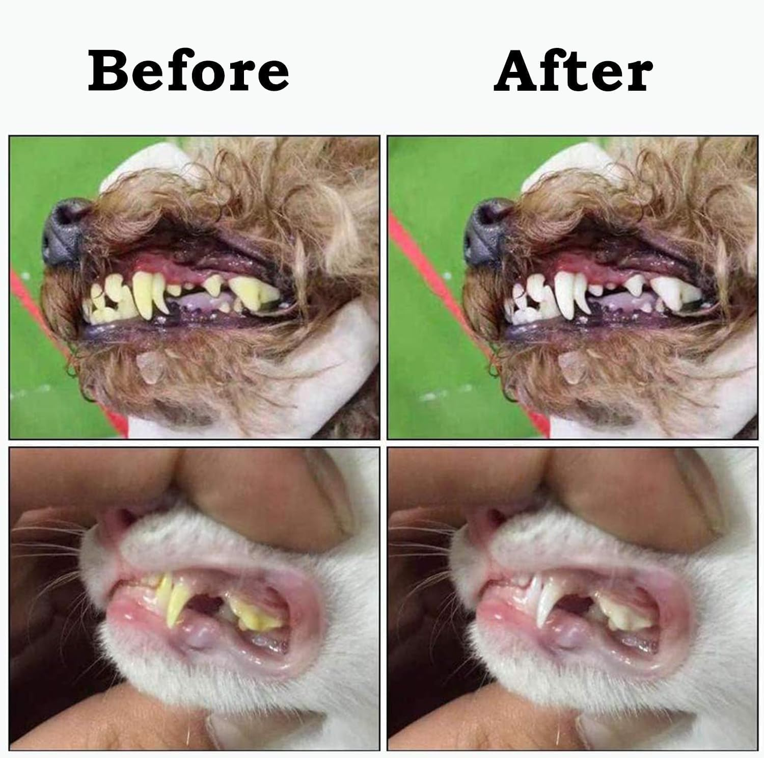 Triple Head Pet Toothbrushes, 5Pcs Triple Heads Dog Toothbrushes Triple Heads Pet Toothbrush,Triple Head Pet Toothbrushes