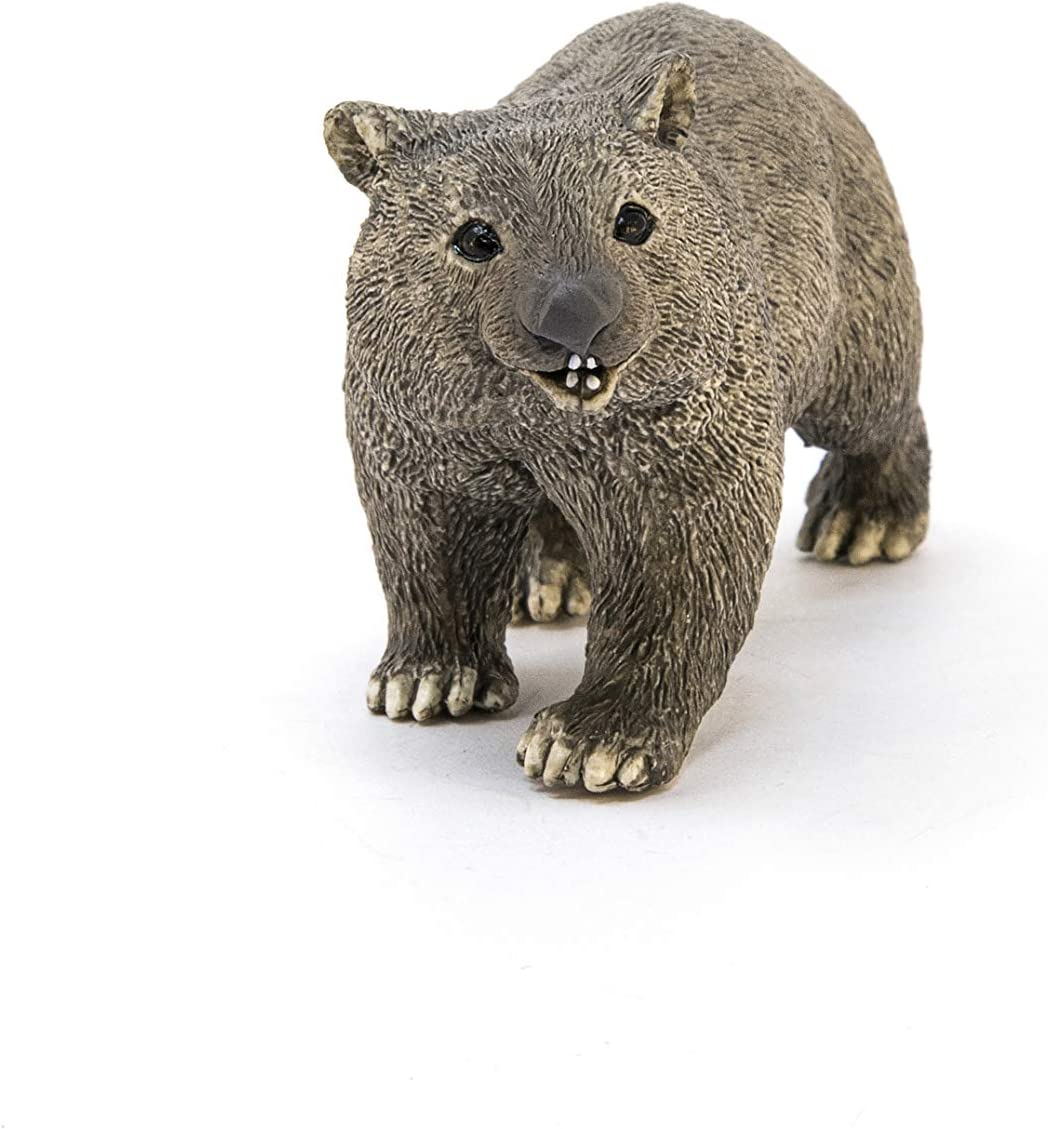 Schleich Wild Life, Realistic Australian Animal Toys for Kids Ages 3 and Above, Wombat Toy Figurine image number 4
